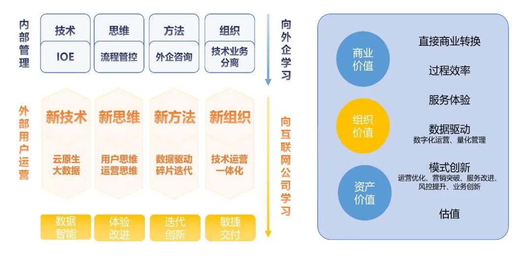 2024管家婆精准资料第三,数据导向执行解析_CT19.596